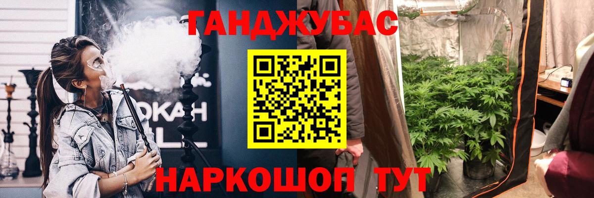 Бошки Шишки марихуана  МАРИХУАНА планчик  Вход с VPN  Керчь  Конопля Amnesia  Бошки марихуана сатива 